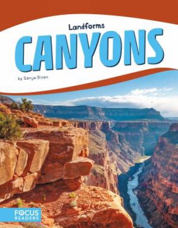 Landforms: Canyons by Sonja Olson