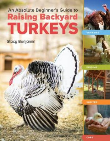 An Absolute Beginner's Guide to Raising Backyard Turkeys by Stacy Benjamin