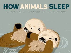 How Animals Sleep by Jiri Dvorak & Marie Stumpfova & Benjamin Lovett