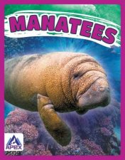 Giants of the Sea Manatees