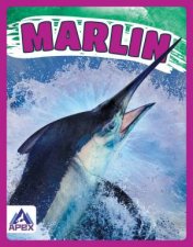 Giants of the Sea Marlin