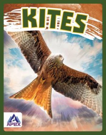 Birds Of Prey: Kites by Connor Stratton