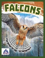 Birds Of Prey Falcons