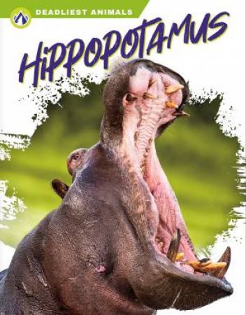 Deadliest Animals: Hippopotamus by Golriz Golkar