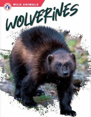 Wild Animals: Wolverines by MEGAN GENDELL