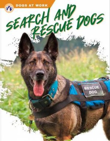 Dogs at Work: Search and Rescue Dogs by MATT LILLEY