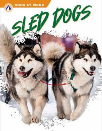 Dogs at Work: Sled Dogs by MATT LILLEY