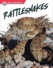 Wild Animals Rattlesnakes