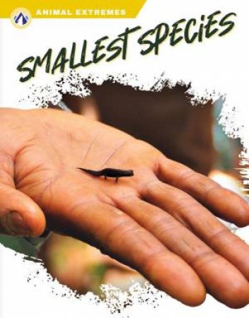 Animal Extremes: Smallest Species by ELISABETH NORTON