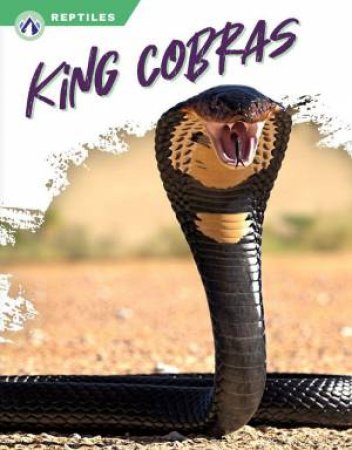 Reptiles: King Cobras by DEB ARONSON