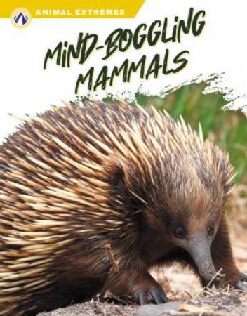 Animal Extremes: Mind-Boggling Mammals by LIBBY WILSON