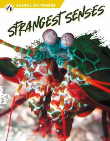 Animal Extremes: Strangest Senses by ASHLEY GISH