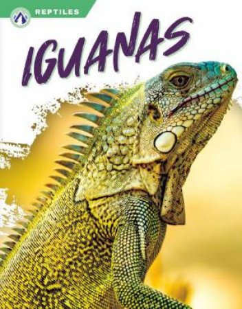 Reptiles: Iguanas by SHANNON JADE