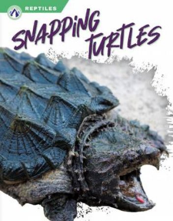 Reptiles: Snapping Turtles by SHANNON JADE