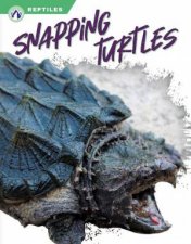 Reptiles Snapping Turtles