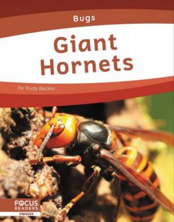 Bugs: Giant Hornets by TRUDY BECKER