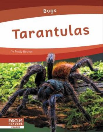 Bugs: Tarantulas by TRUDY BECKER