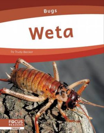 Bugs: Weta by TRUDY BECKER