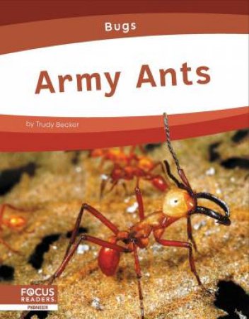 Bugs: Army Ants by TRUDY BECKER