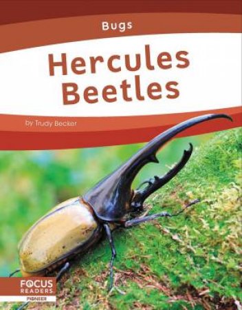 Bugs: Hercules Beetles by TRUDY BECKER