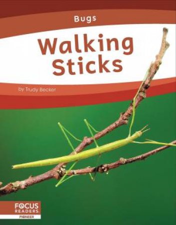 Bugs: Walking Sticks by TRUDY BECKER