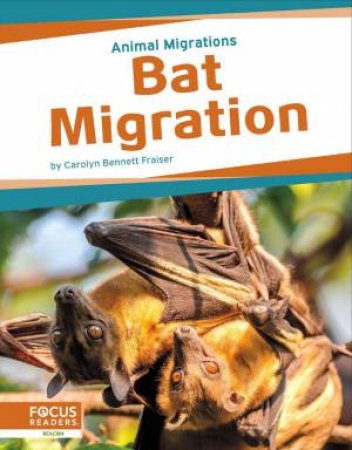 Animal Migrations: Bat Migration by CAROLYN BENNETT FRAISER