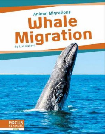 Animal Migrations: Whale Migration by LISA BULLARD