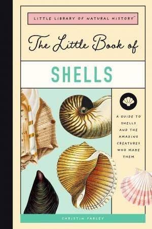 Little Book Of Shells by Forrest Everett