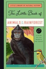 The Little Book Of Animals Of The Rainforest