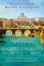Saving Michelangelos Dome