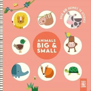 Animals Big & Small by Rebecca Weerasakera