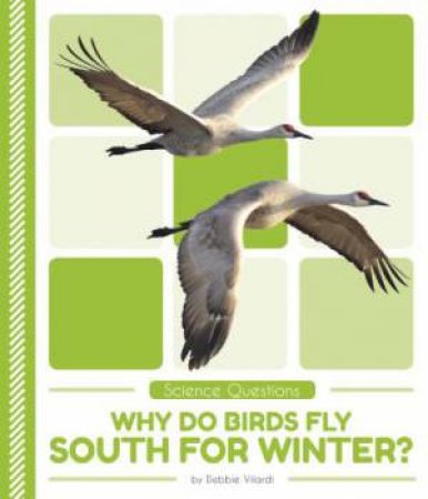 Science Questions: Why Do Birds Fly South For Winter? by Debbie Vilardi