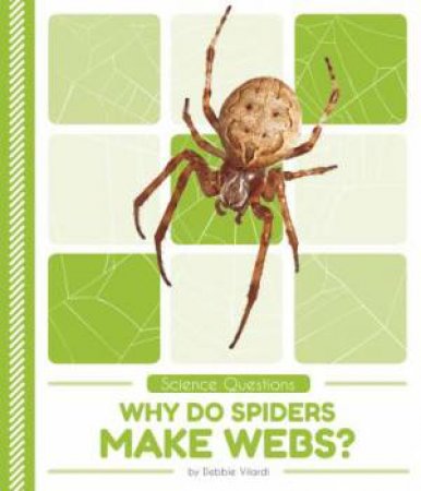 Science Questions: Why Do Spiders Make Webs? by Debbie Vilardi