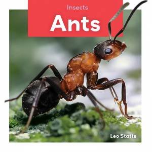 Insects: Ants by LEO STATTS