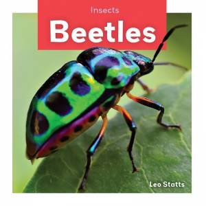 Insects: Beetles by LEO STATTS