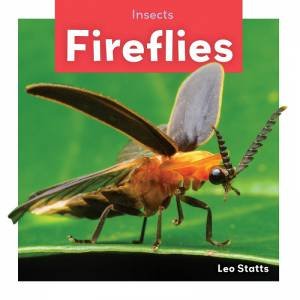 Insects: Fireflies by LEO STATTS