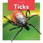 Insects Ticks