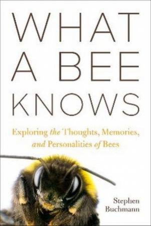 What a Bee Knows by Stephen L Buchmann