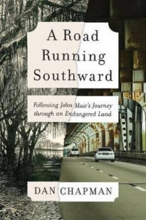 A Road Running Southward by Dan Chapman