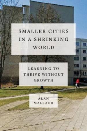 Smaller Cities in a Shrinking World by Alan Mallach