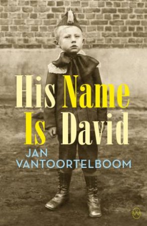 His Name Is David by Jan Vantoortelboom & Vivien D. Glass