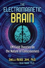 The Electromagnetic Brain EM Field Theories On The Nature Of Consciousness