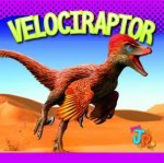 Velociraptor