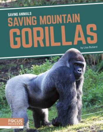 Saving Animals: Saving Mountain Gorillas by LISA BULLARD