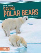 Saving Animals Saving Polar Bears