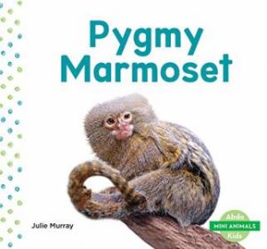 Mini Animals: Pygmy Marmoset by Julie Murray