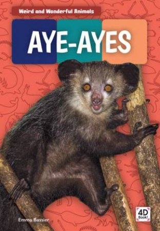 Weird And Wonderful Animals: Aye-Ayes by Emma Bassier