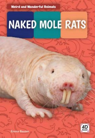 Weird And Wonderful Animals: Naked Mole Rats by Emma Bassier