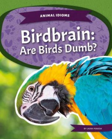 Animal Idioms: Birdbrain: Are Birds Dumb? by Laura Perdew