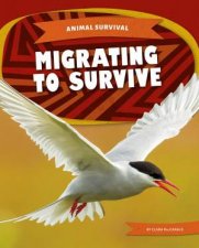 Animal Survival Migrating To Survive